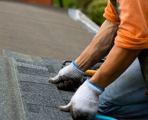 Best Roof Gutter Cleaning  in Summerfield, NC